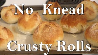 No Knead Crusty Rolls by Her Homestead Skills 1,313 views 1 month ago 15 minutes