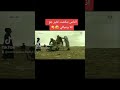 كشتة طاش ما طاش ضحك