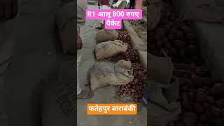 आज आलू का भाव #alookabhav #farming #barabanki #shortvideo