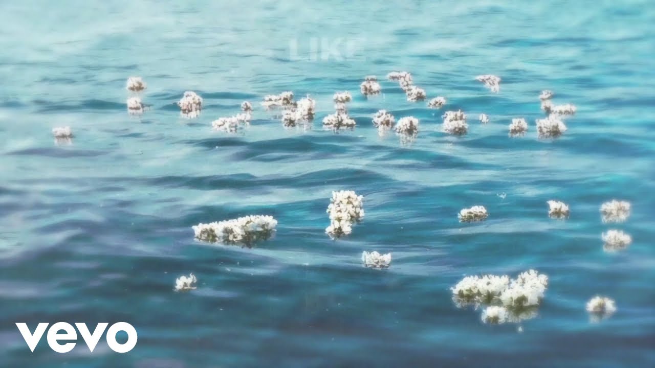 Nathan Evans - Flowers In The Water
