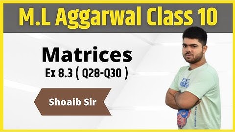 Class 10 | M.L  Aggarwal | Matrices | Ex 8.3 | Part 10