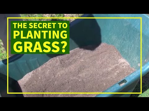 How To Plant Grass Seed - Quickly and Easily