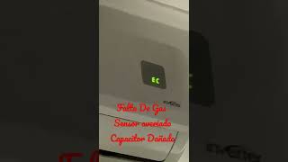 Celebrity Error EC Net Worth