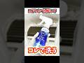 実家のエアコン分解水洗い掃除#shorts