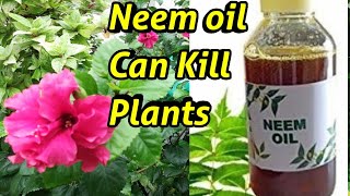 Neem Oil से आपके पौधे मर सकते है