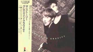 The Story - Damn Everything But The Circus