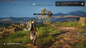 Assassin