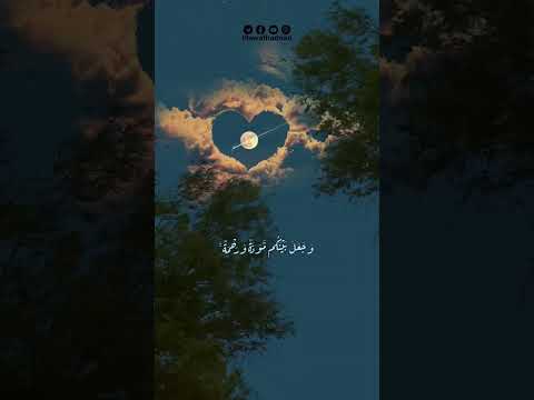 وجعل بينكم مودة ورحمة قرآن