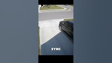 This Bird
