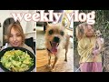 vlog: trying viral tiktok salad and new foster dog