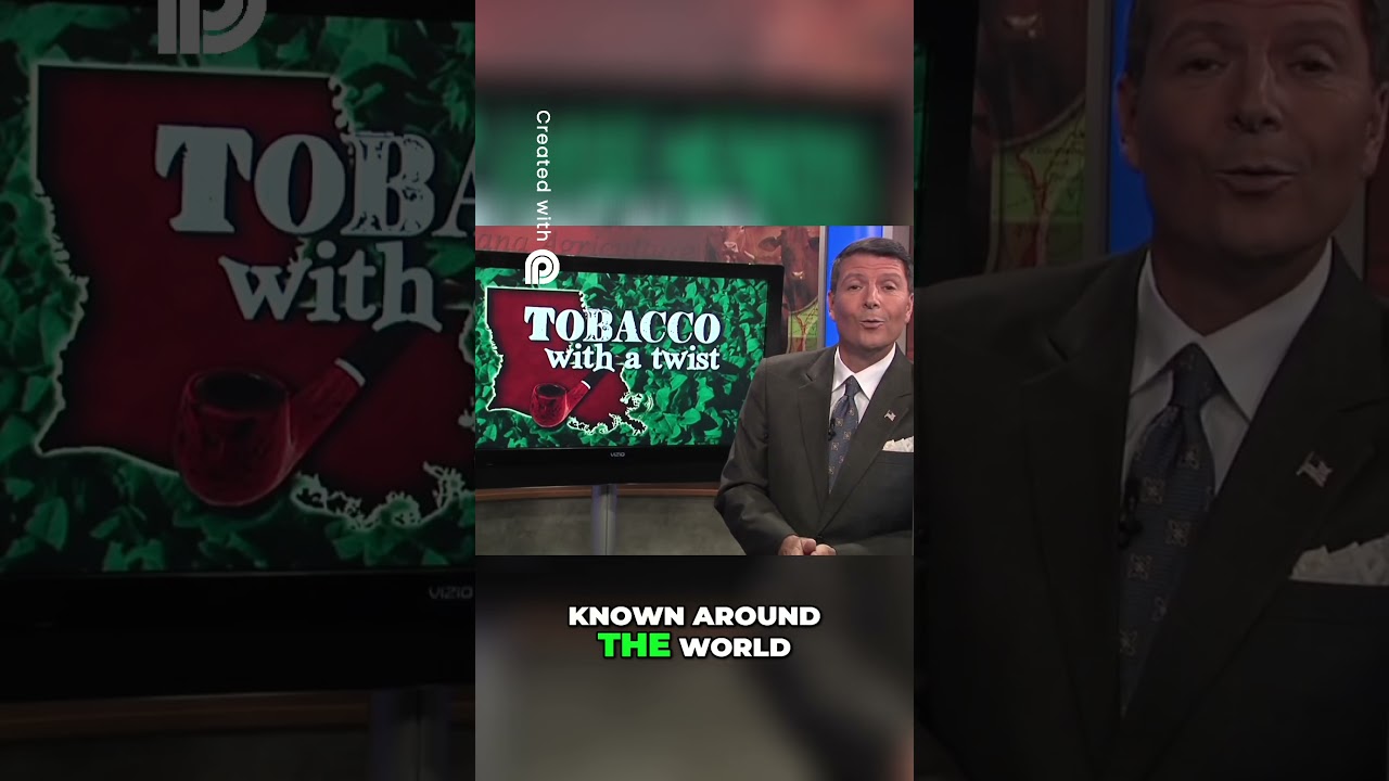 Louisiana's Secret  Perique Tobacco Processing