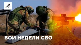 Бои Недели Сво. Самые Заметные Кадры С Передовой