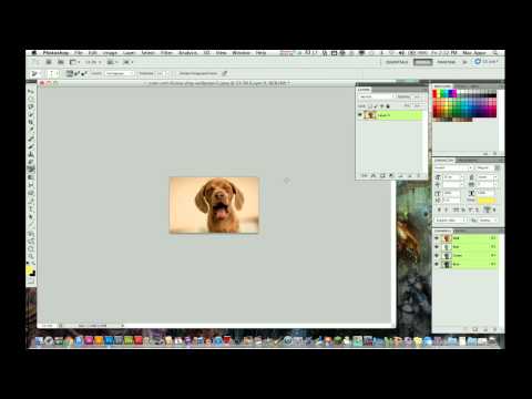 ვიდეო: როგორ მოვჭრა გამოსახულება კონკრეტულ ზომაზე Photoshop cs5-ში?