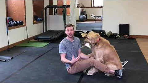 Fix your dead bug exercise! Minnesota Movement Chiropractic