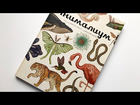 Анималиум | Энциклопедия об эволюции животного мира