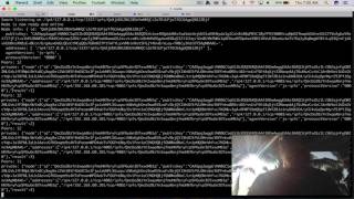 Distributed Computes via IPFS