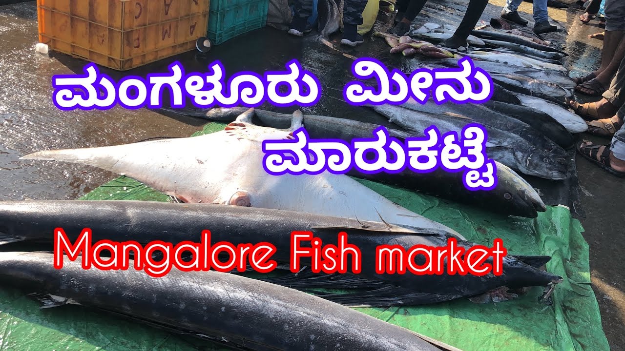 Mangalore Fish market Bunder 2022 YouTube
