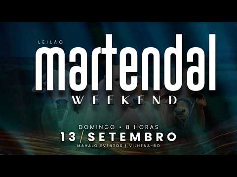 LOTE 68