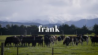 Dairy farming on the Plains: was it a big mistake?
