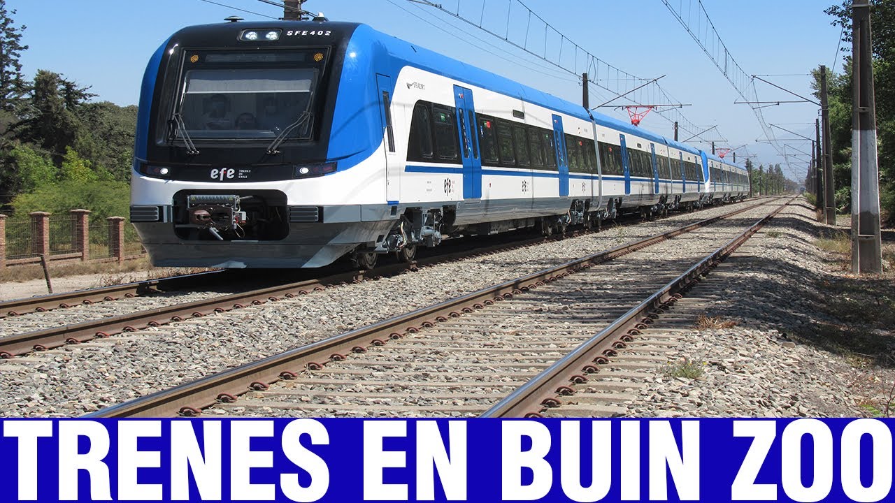 Fepasa y EFE Central | Mix de Trenes en Buin Zoo