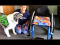How to Train How to Train