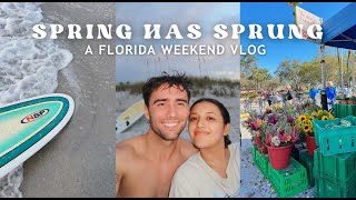 life in St. Petersburg, Florida | beach days, early mornings, workouts, surfing, friends and more !