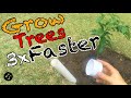 Comment planter un arbre pour quil pousse 3 fois plus vite mthode dentranement racine