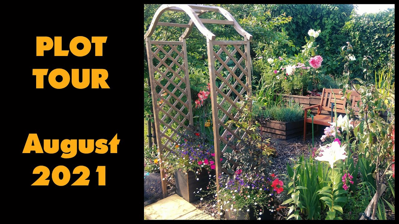 Allotment Year 4 - Aug 27th 2021 Tour