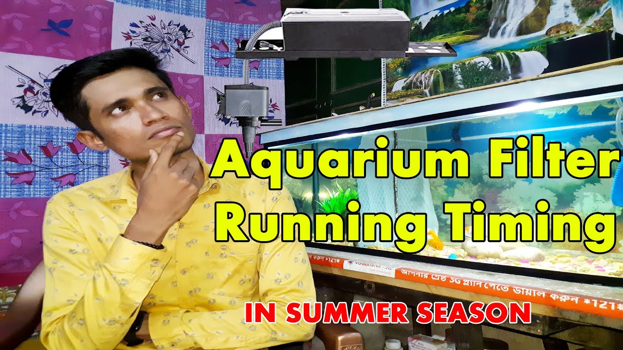 Aquarium filter running time How much time aquarium filter should run Aquarium filter timing