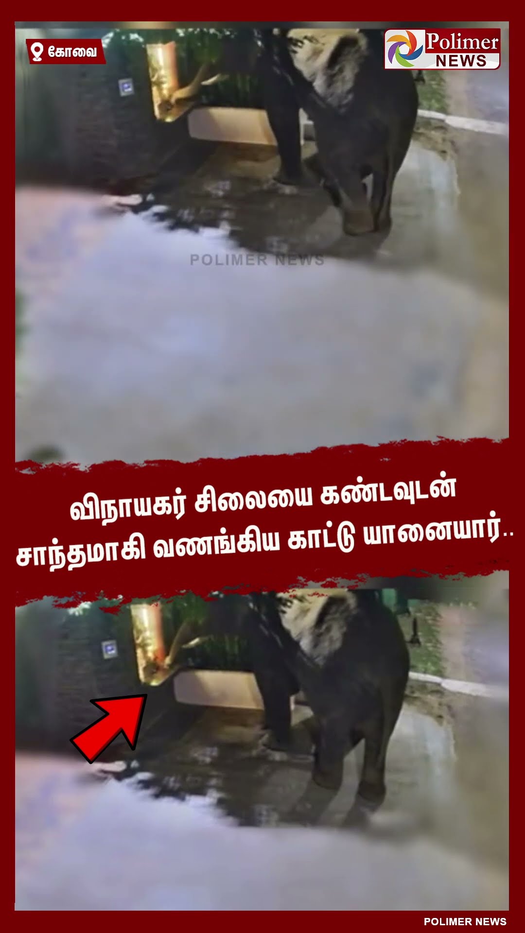 விநாயகர் சிலையை கண்டவுடன் சாந்தமாகி வணங்கிய காட்டு யானையார்.. #shorts