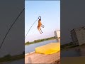 Dog Videos 4 Dogs That Fly - Malinois & Alsatian Dogs Show Their Jumping Agility #Shorts