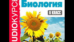 аудио учебник по биологии 6 класс