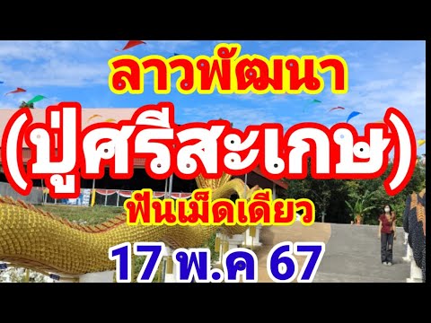 ด่วนล่าสุด ลาวพัฒนา ปู่ศรีสะเกษ งวดนี้ฟันให้เม็ดเดียว 17/5/67