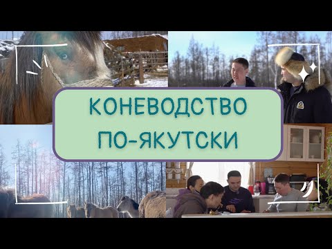 Теңіздегі секс жоғары сапада онлайн көріңіз Режиссер эротиканың шебері.