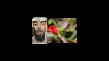 تلاوة عطره القارئ الشيخ خالد الجليل_اللهم اجعل القرآن ربيع قلوبنا🤲😭(360P)