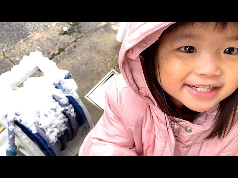 えっ？大雪警報！！５年ぶりに京都で雪が積もりました❄️⛄️