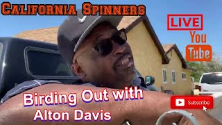Birding Out with Alton Davis flying Birmingham Roller Pigeons