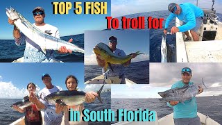 TOP 5 FISH to troll for in South Florida | How, when & where to catch them