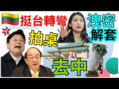 5.8.24【黃麗鳳｜中廣新聞宴】挺台轉向！立陶宛：台灣代表處該改名｜太魯閣出軌再找到35件遺骸｜南韓瘋超商買黃金｜拜登譴責反猶太主義｜AZ全球回收疫苗｜35歲女鏡面人內臟全轉位｜累垮？陳佩琪提早退休