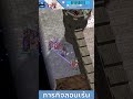 ภารกิจลอบสังหาร #ragnaroklandversethailand #games #ragnarokgame