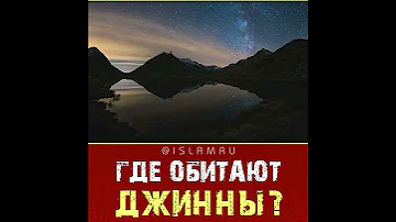 Где обитают джинны?