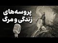 دوره جامع تاب آوری جلسه اول پروسه های زندگی و مرگ برانگیختگی حاد و مزمن تابآوری استرس 