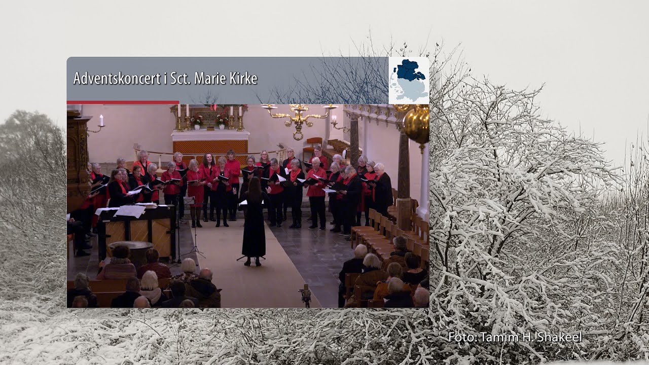 Programoversigt 08.12.2023 - YouTube