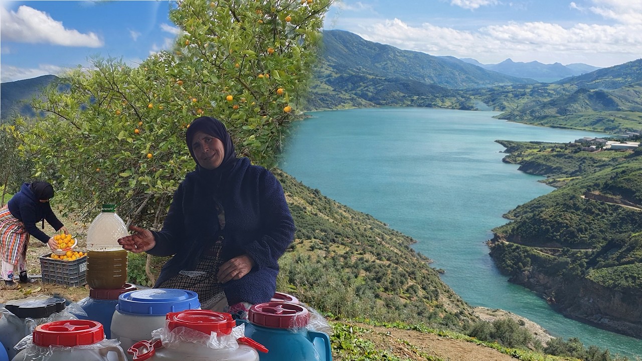 أجواء البادية أمام سد الوحدة وجني الليمون في جو ممطر وطحن الزيتون الشتوي بالطريقة العصرية