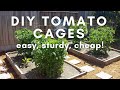 How to make a diy tomato cage easy sturdy and cheap