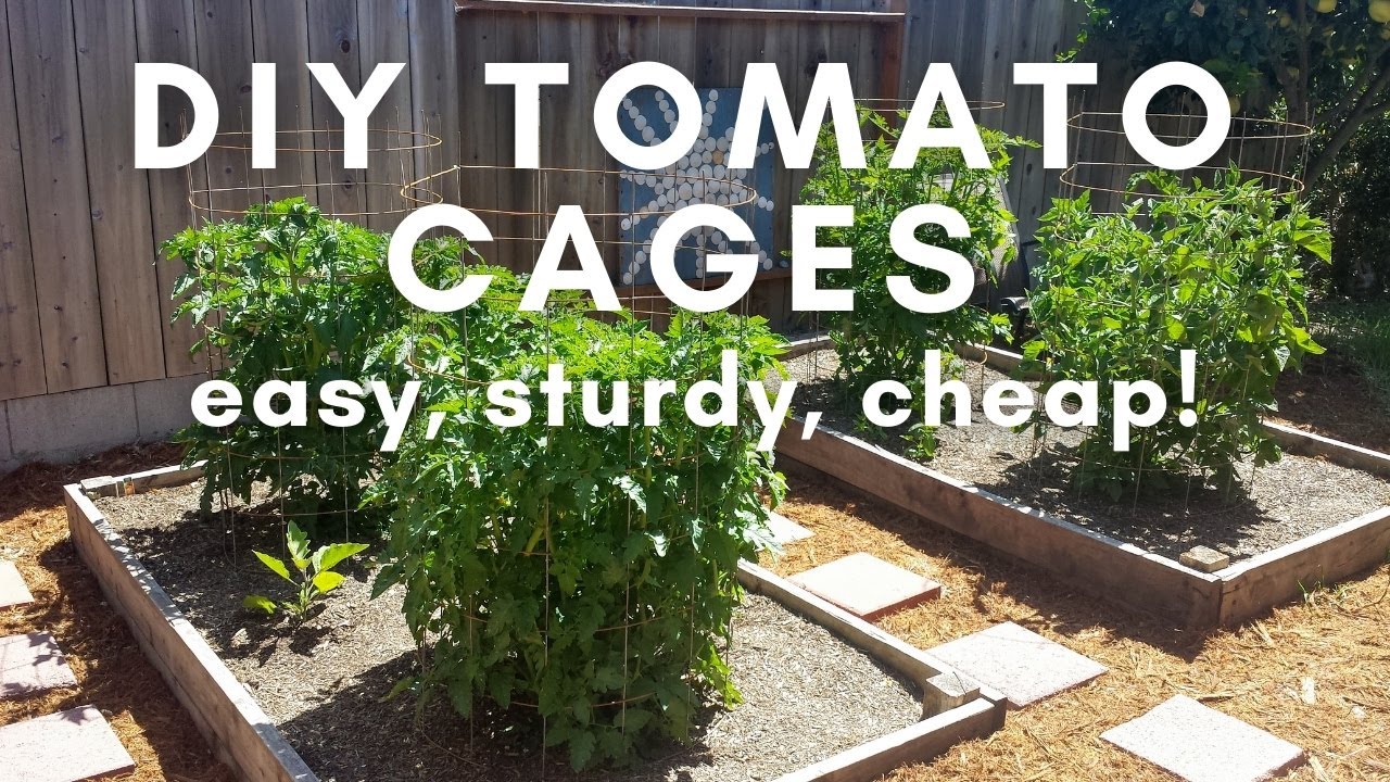 diy tomato planter