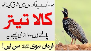 Listen Farman Nabvi saw before raising black partridges |Kala Titar Palna In Islam | Islamic Teacher
