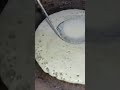 غريف من يدين سطايفية يخاليا