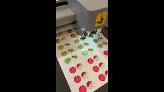 Trabajos de Clientes con la PFi Blade B3 de Duplo