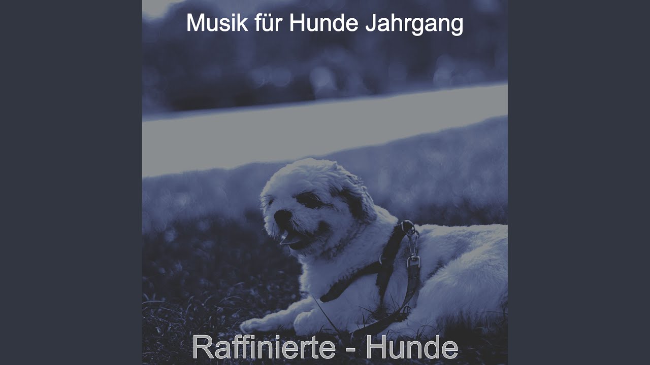 Eifrig - Hunde - YouTube